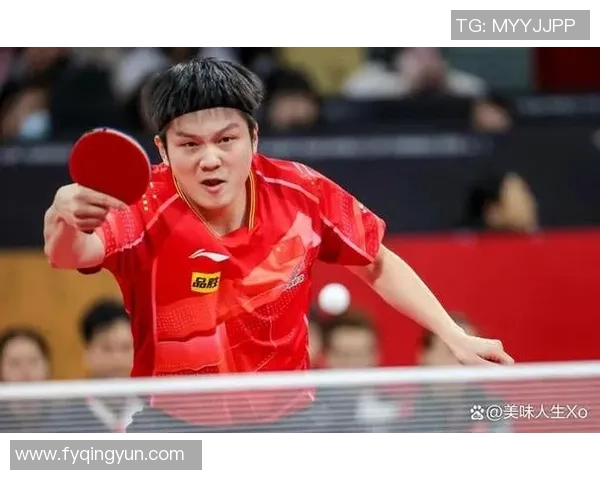 成都乒乓球队意识对比分析揭示团队协作与个人能力的微妙关系