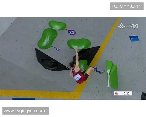 武汉攀岩队勇攀高峰荣获全国攀岩节奏排行榜第八名